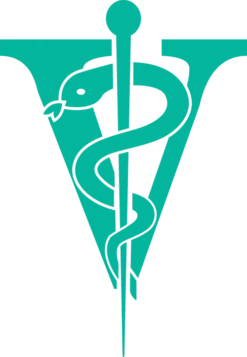 Joyzze Hornet Mini Trimmer 2 Speed [Teal] -Wahl || Andis || Oster® Sales JY 99027 8