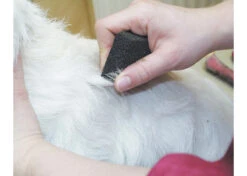 Show Tech Stripping Stone 9x6x2.5cm -Wahl || Andis || Oster® Sales ST 90070 1