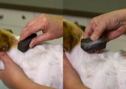 Show Tech Stripping Stone 9x6x2.5cm -Wahl || Andis || Oster® Sales ST 90070 2