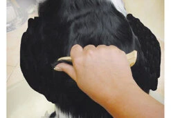 Show Tech Ultra Pro Set Of 4 Stripping Knife -Wahl || Andis || Oster® Sales ST 93581 6