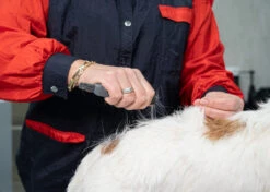 Show Tech Comfy Stripping Stick 13mm Double Sided -Wahl || Andis || Oster® Sales ST 95086 2