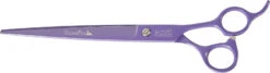 Swan Stainless Scissors - Straight 8.5" [Purple]